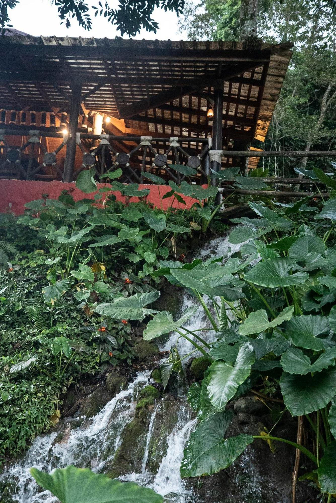 Platon Ecolodge Barahona Exterior foto